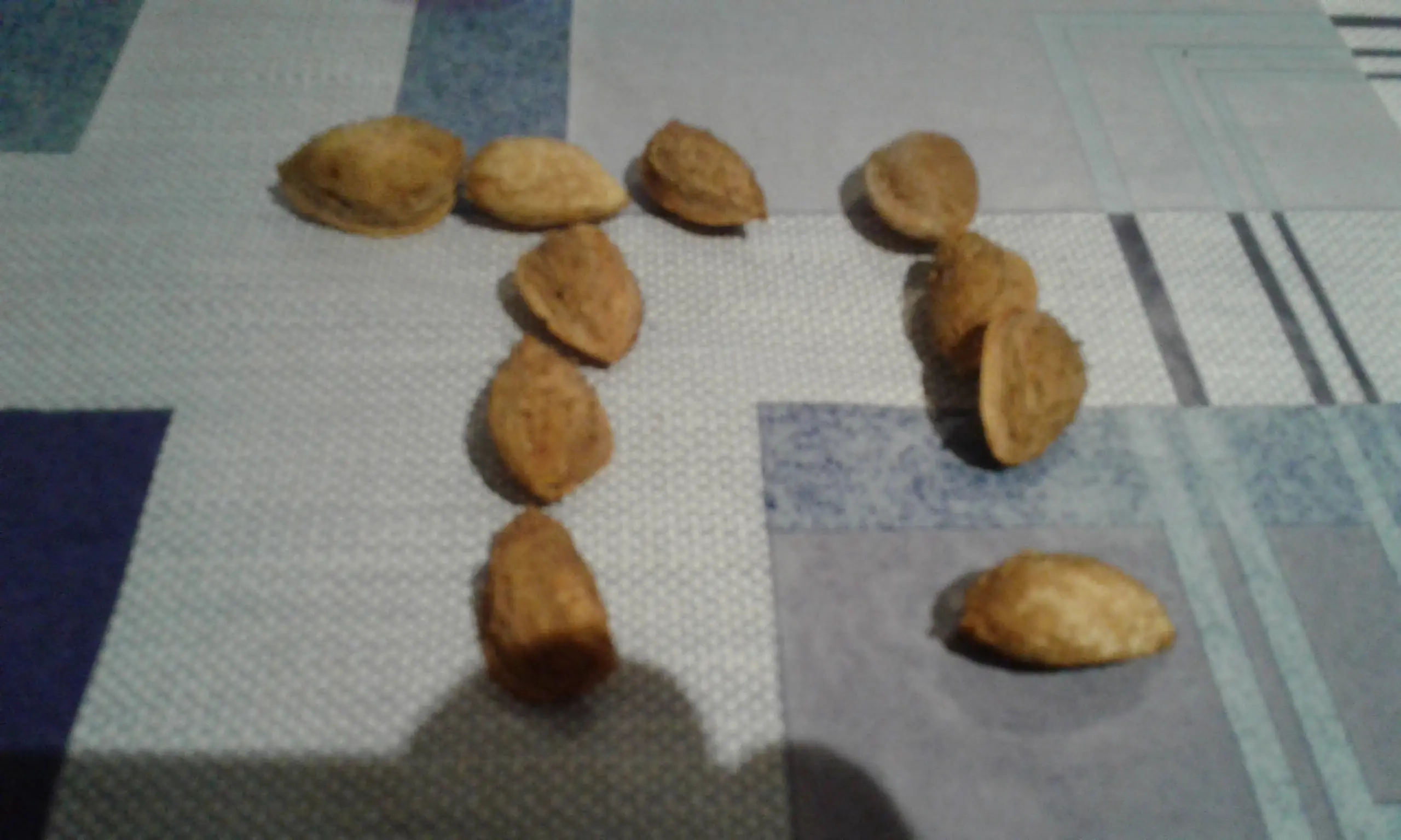 fruto seco