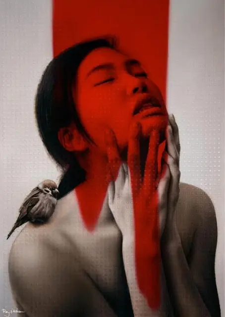 rojo