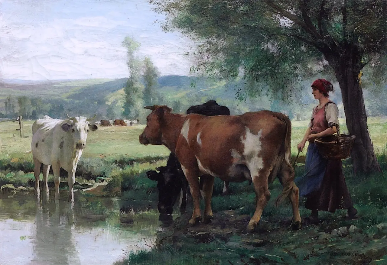 animales