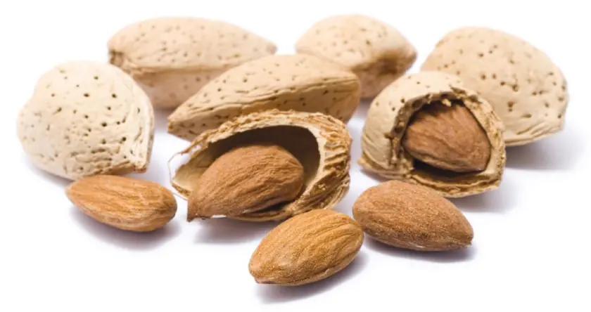 almendras almendras