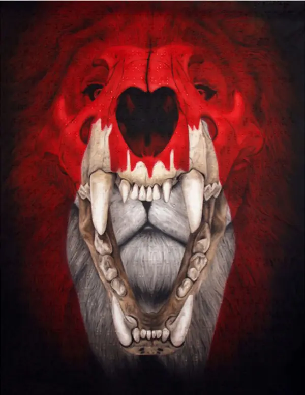 animales