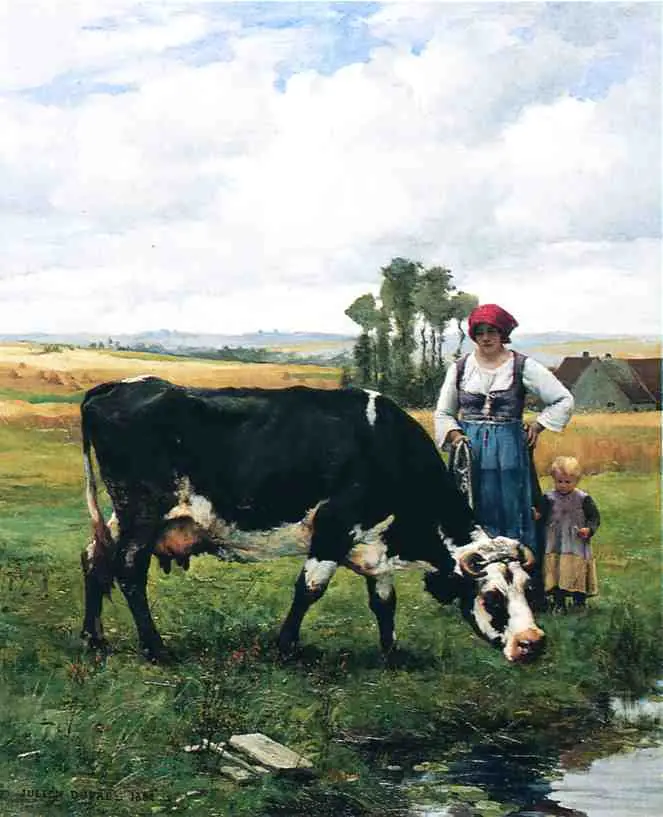 animales