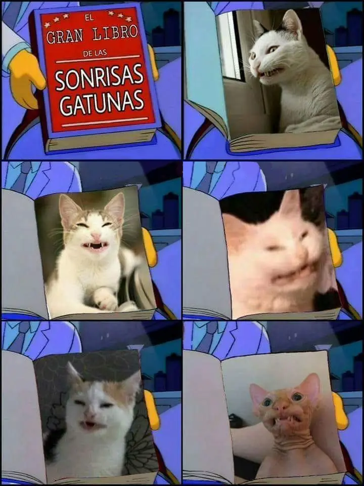 Post de humor entra al bueno!