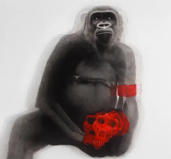 Roy Nachum arte para ciegos