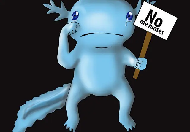 Axolote