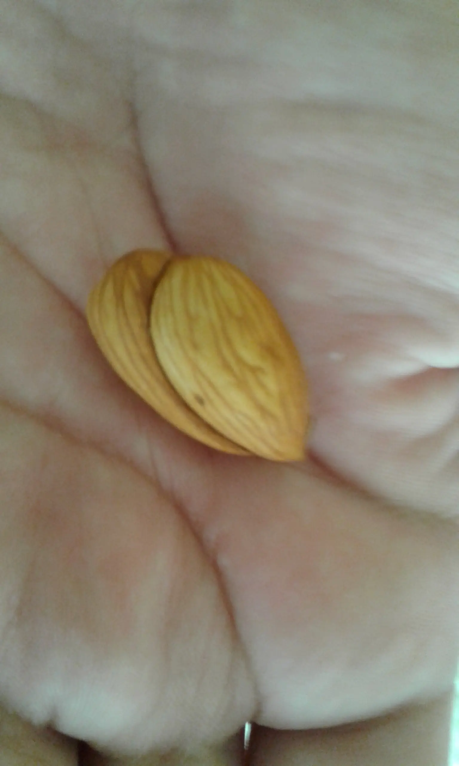 almendras