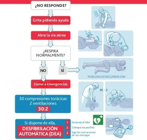 Primeros auxilios, RCP y maniobra de Heimlich.