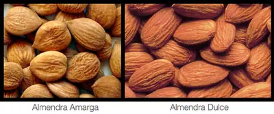 almendros almendros