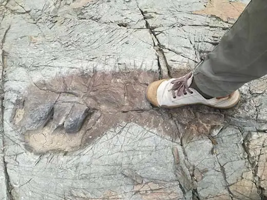 Estas huellas pertenecen a los antiguos gigantes?