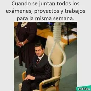 top memes