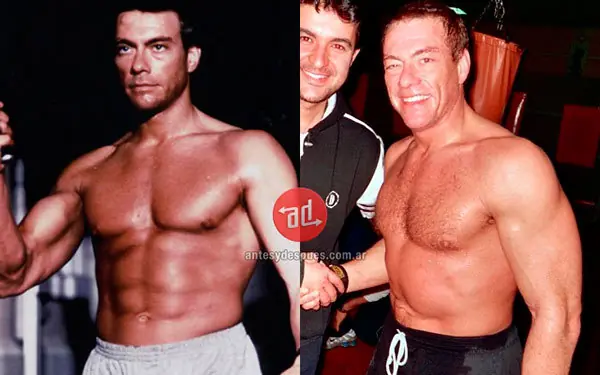 Musculosos