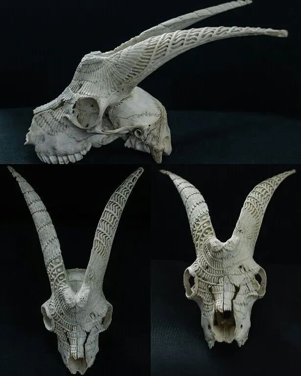 tallador de craneos