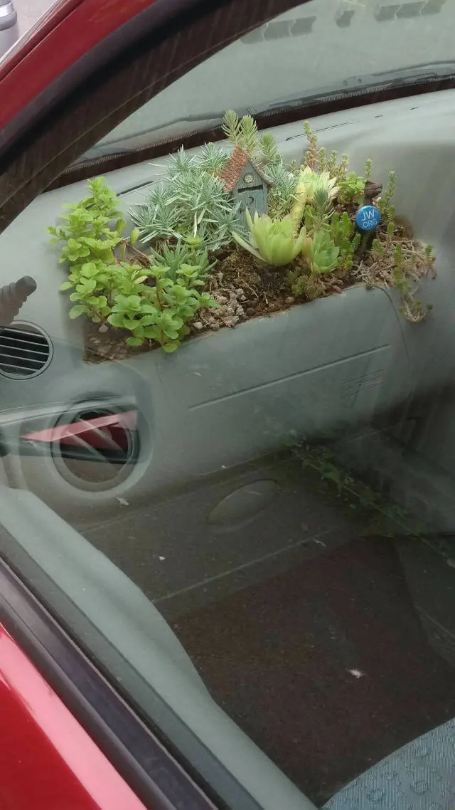 Distráete con estas imágenes wtf y curiosas (Parte 20)