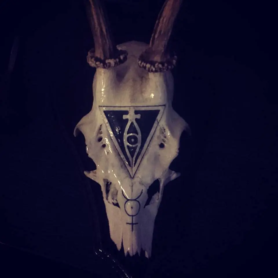 craneos artisticos
