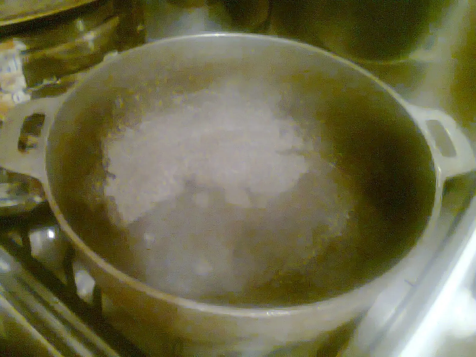 Carne