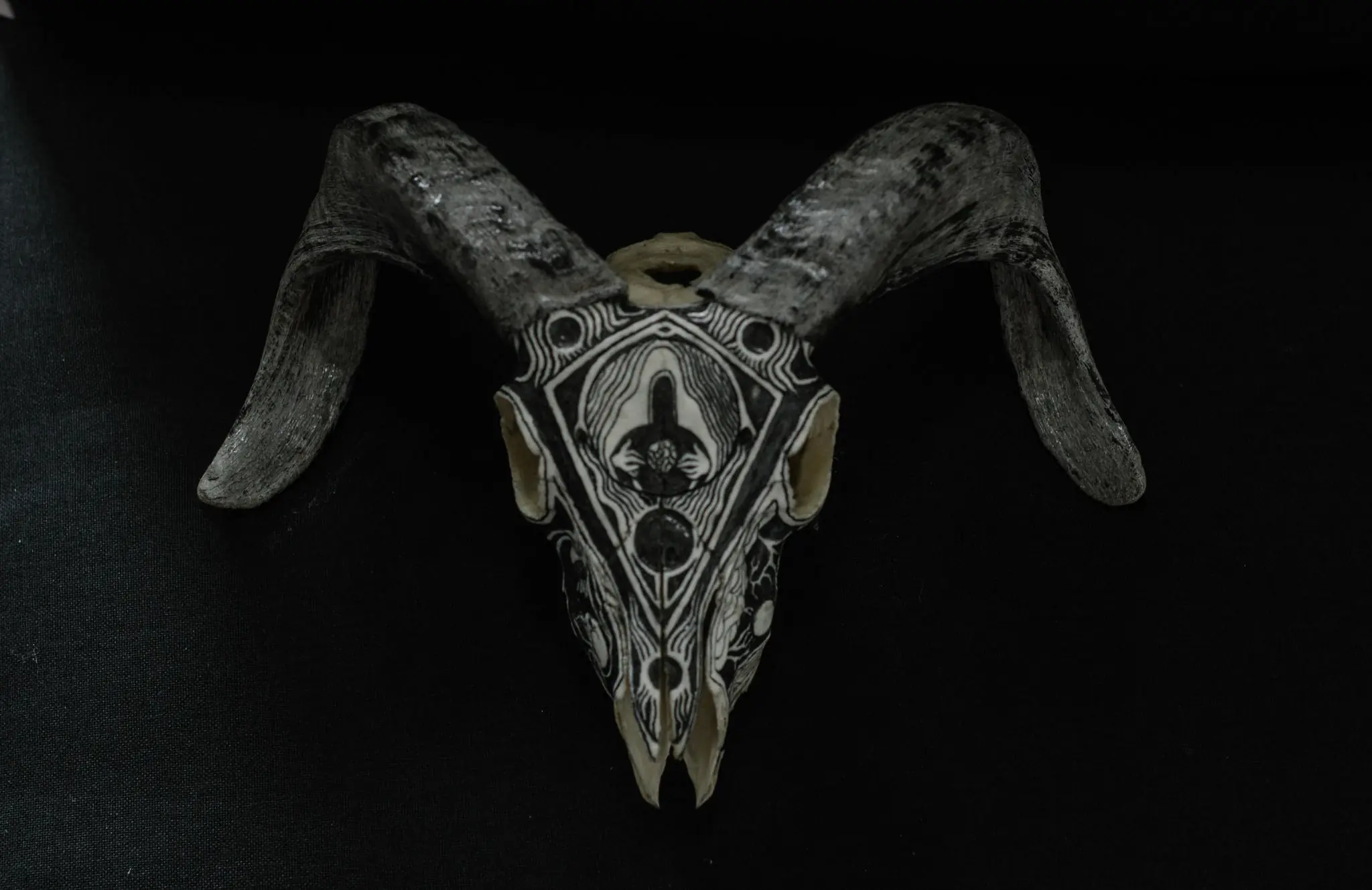 tallador de craneos