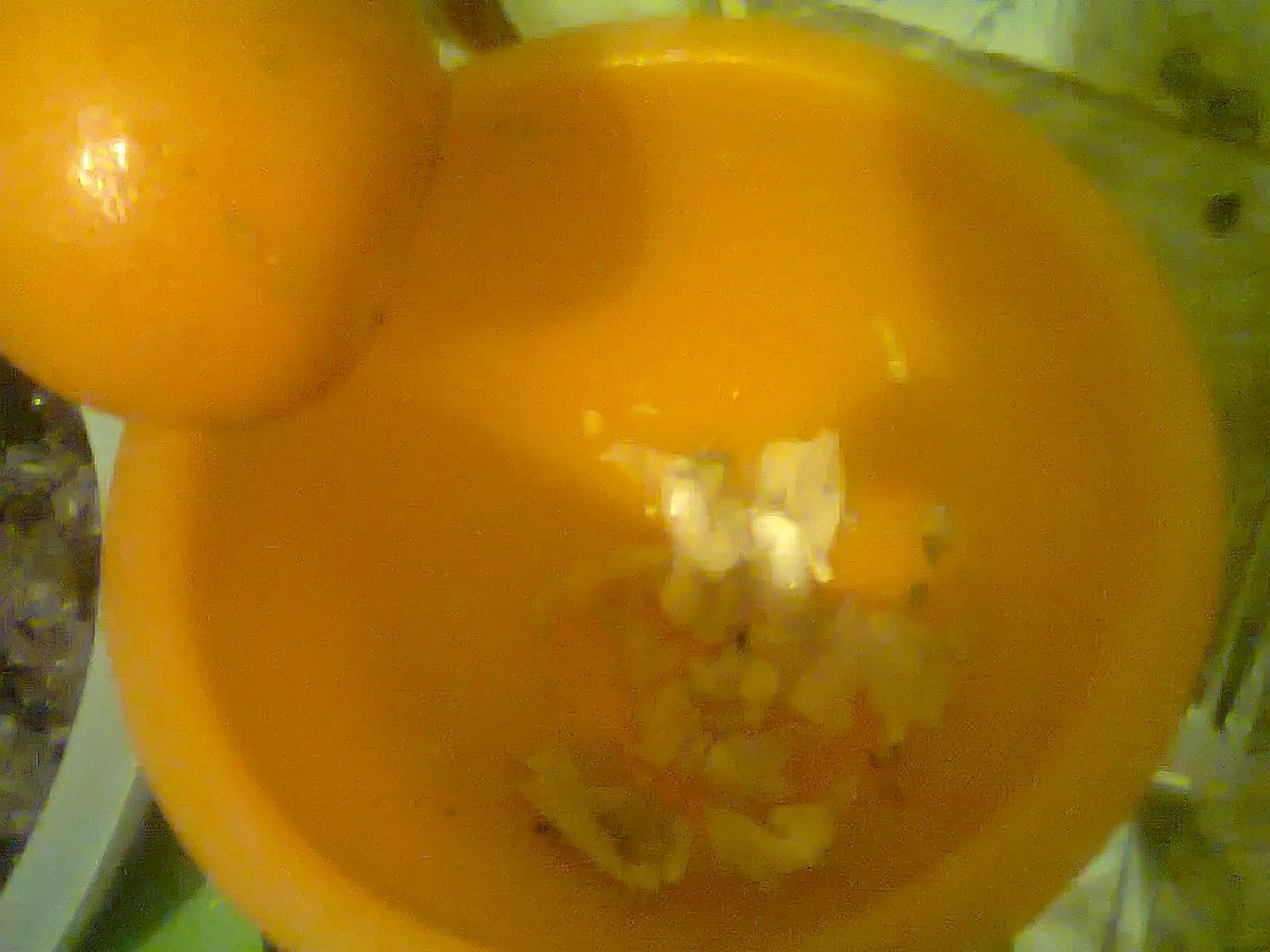 Soy toda una chef y te muestro mi receta lince!