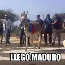 Humor para este Lunes de Maduro y su combo!