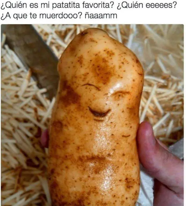 imagenes