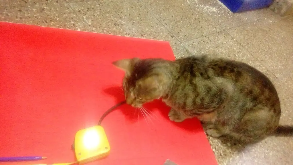 caja