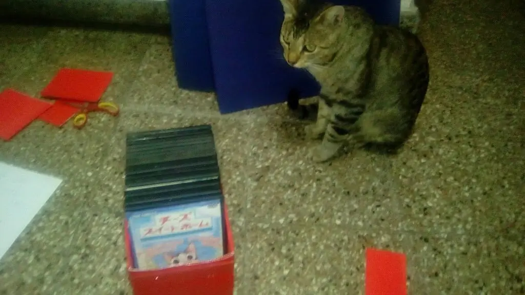 DVD