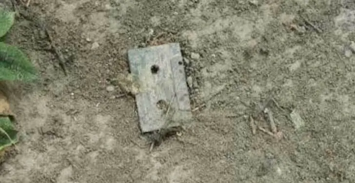 Extrañas cosas que alguien podría encontrar en su jardín...