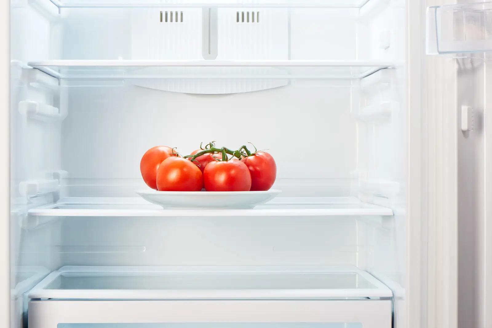 alimentos alimentos