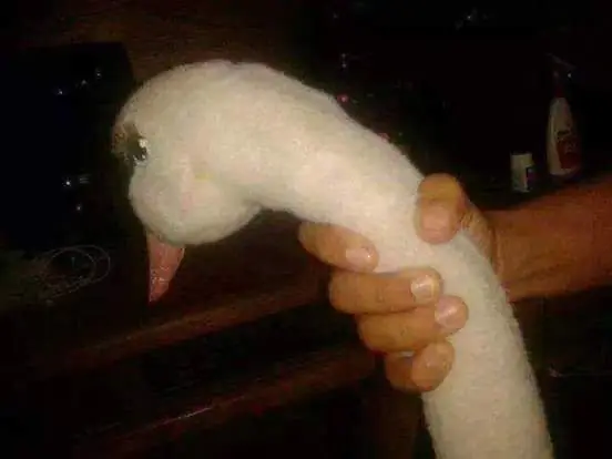 Como tocar bien el ganzo (Pasa rapido)