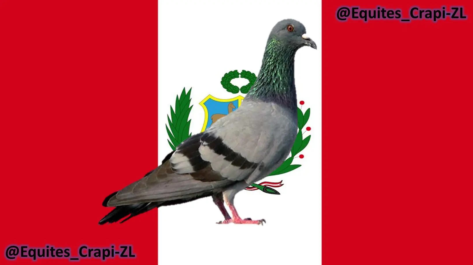 Fuera de mi pais