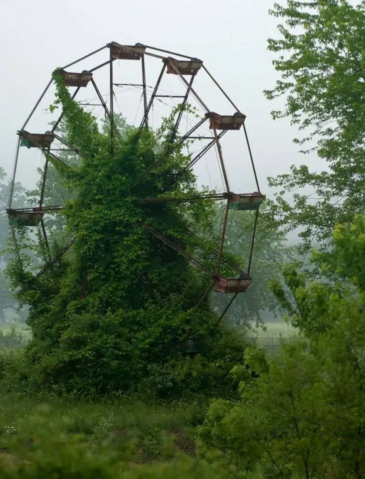 Muestras de que la naturaleza reclama “lugar” en este mundo