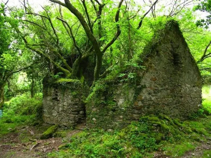 lugar