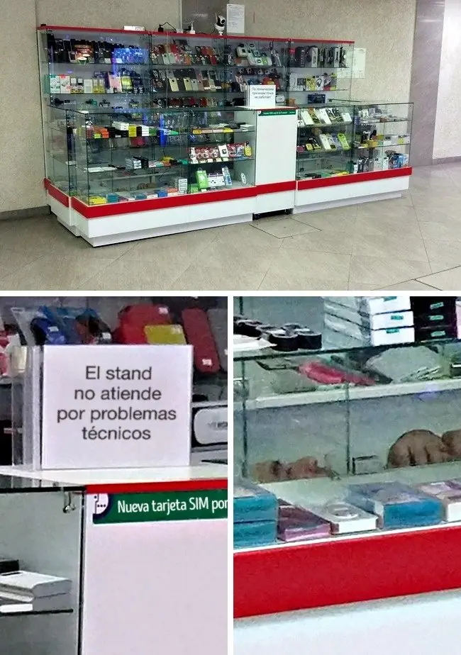 flojera