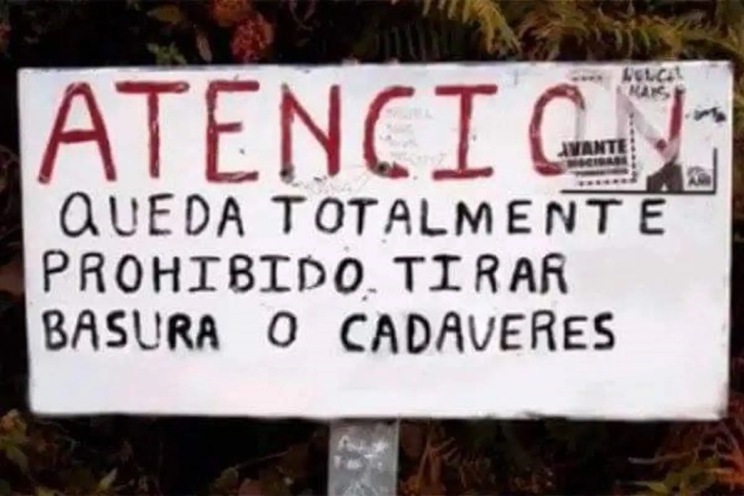 Divertido