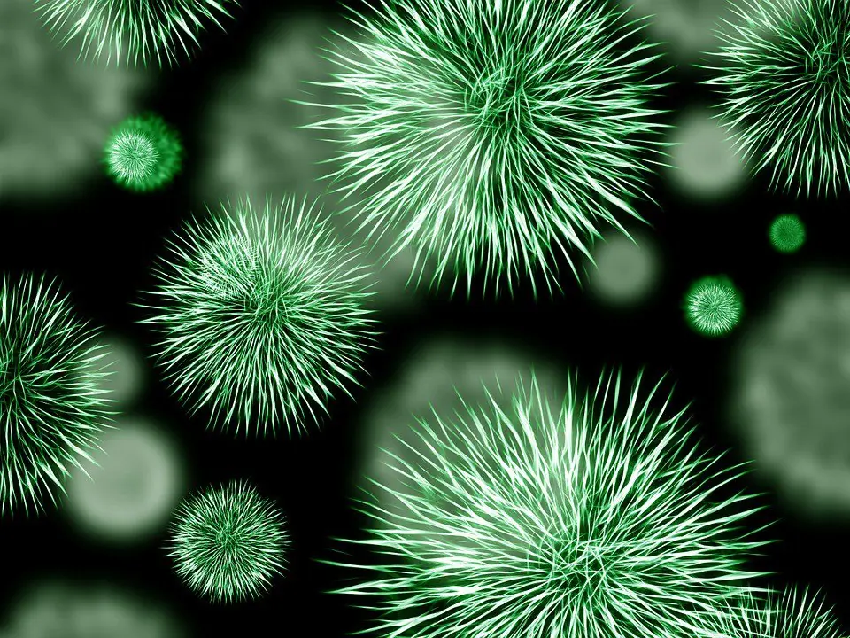 Estas bombillas destruirían el virus de la gripe