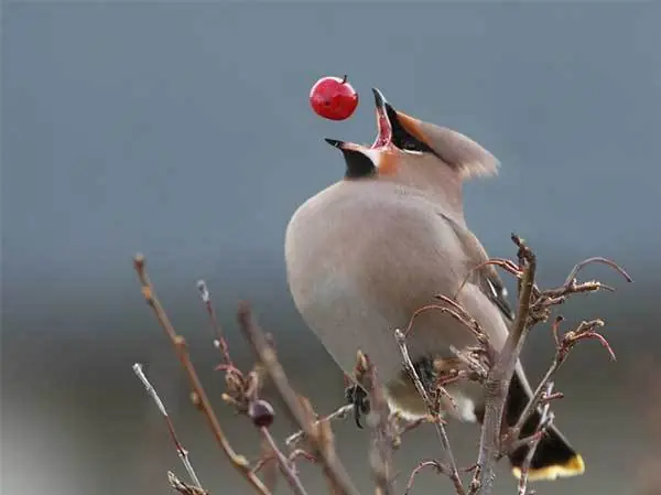 momento