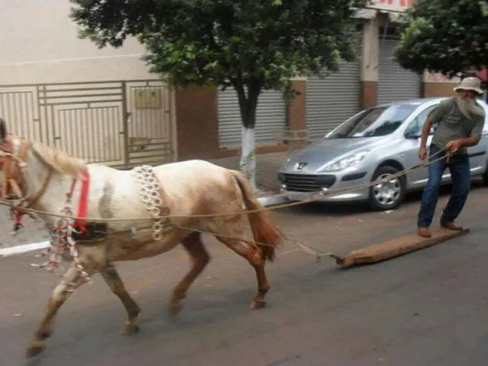 El mejor crap de humor para este sabado
