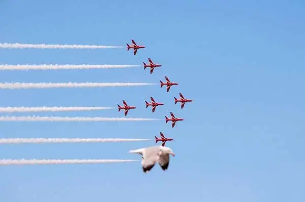 18 fotos tomadas en el momento más oportuno...