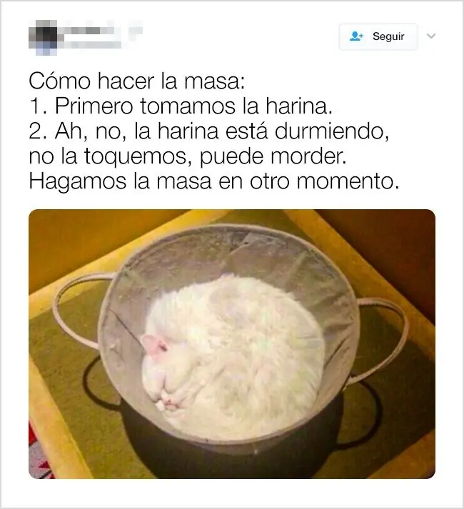 arte arte