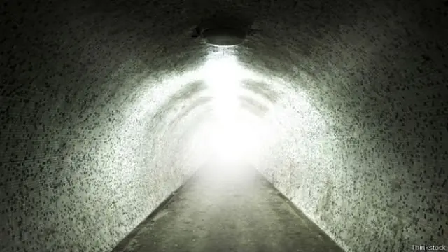 Regresaron de la muerte en el cuerpo de niños