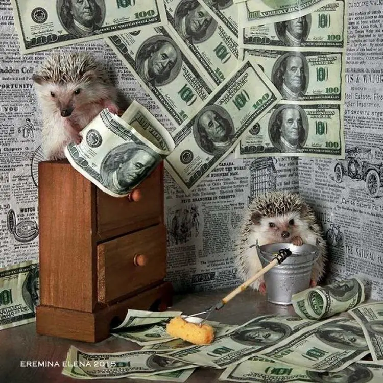 animales