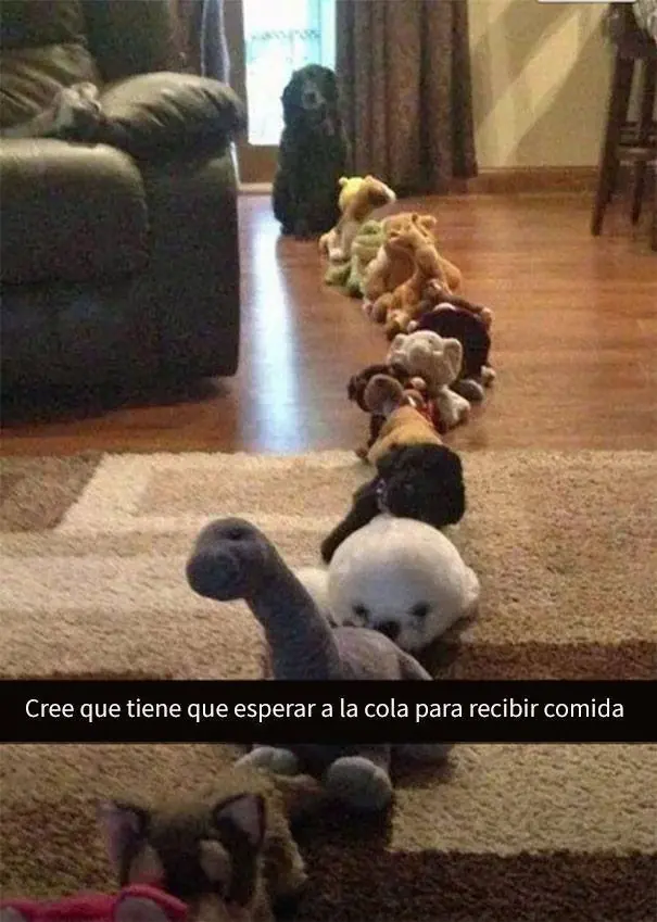 divertidos