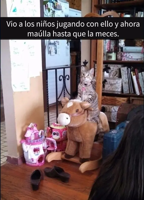 de perros
