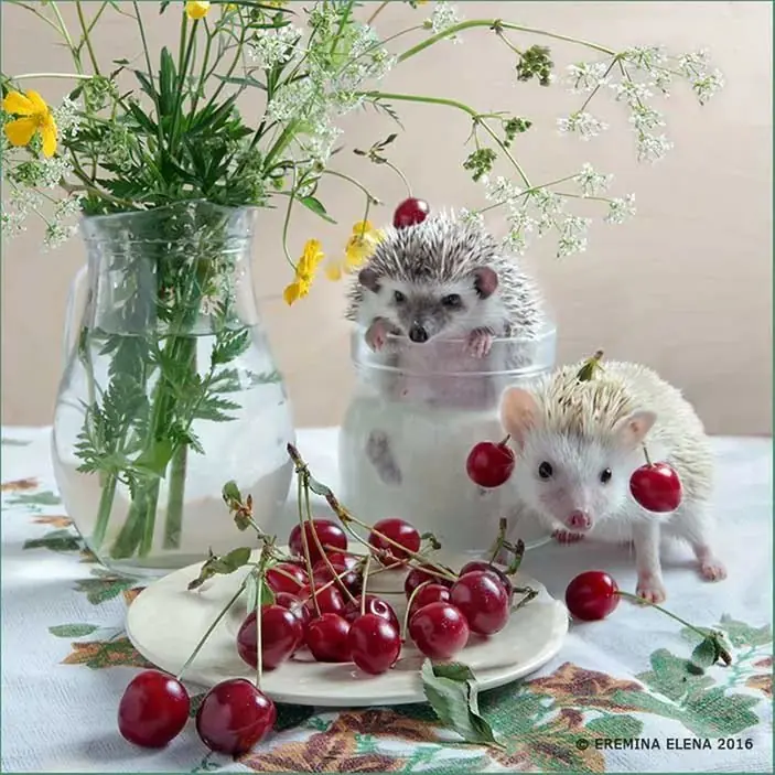 art