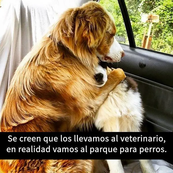 que te