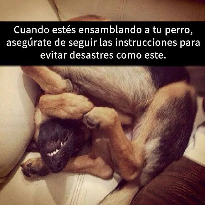 que te