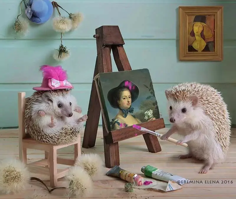 animales