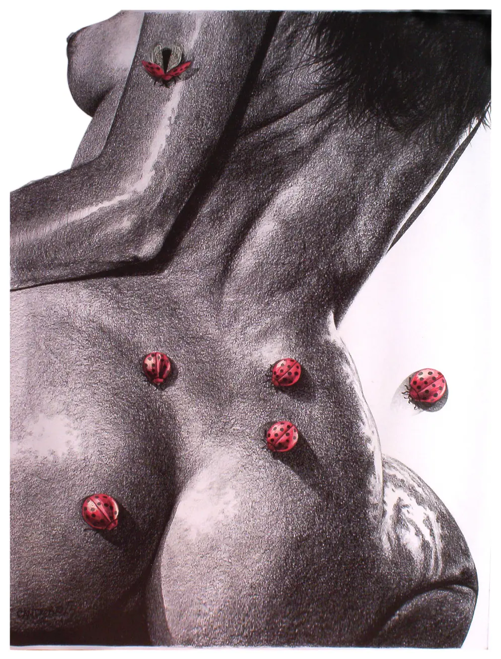 ceramica