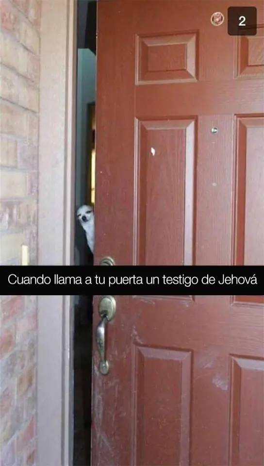 imagenes