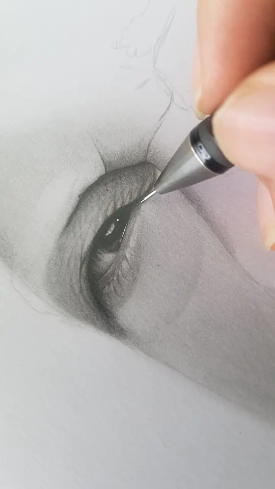 retrato
