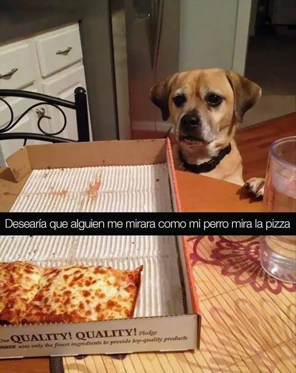imagenes